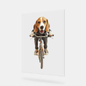 Beagle   (Angle)