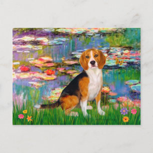 Beagle 7 - Waterlelies 2 Briefkaart