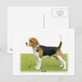 Beagle 9J27D-02 Briefkaart (Voorkant / Achterkant)