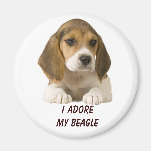 Beagle Adore Magnet Magneet (Voorkant)