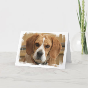Beagle Afbeeldingen Wenskaart Kaart