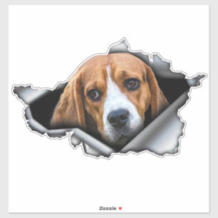 Beagle auto decal, Beagle magnet, Beagle sticker