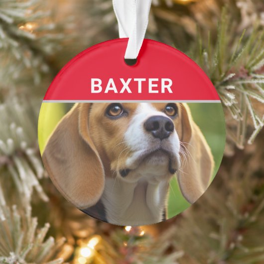 Beagle avec le nom du chien et la photo Noël (Arbre)