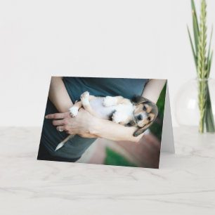Beagle Babe in de armen Kaart