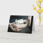 Beagle Babe slaapt in zijn armen Kaart (Gele Bloem)
