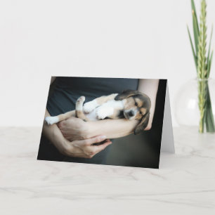 Beagle Babe slaapt in zijn armen Kaart