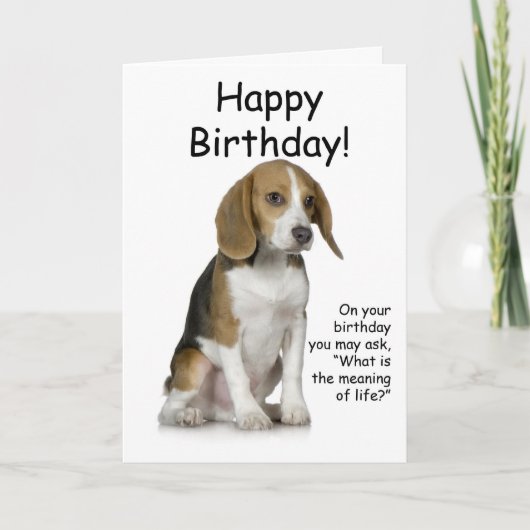 Beagle Birthday Kaart (Voorkant)
