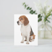 Beagle Briefkaart (Staand voorkant)