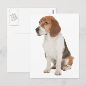 Beagle Briefkaart (Voorkant / Achterkant)