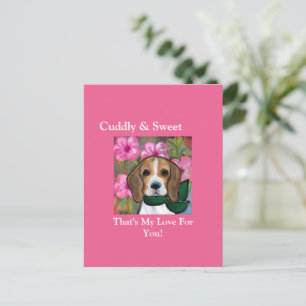 Beagle      briefkaart