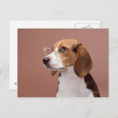 Beagle Briefkaart (Voorkant / Achterkant)