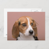 Beagle Briefkaart (Voorkant / Achterkant)