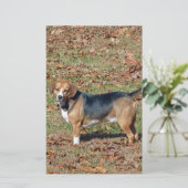 Beagle Briefpapier (Staand voorkant)