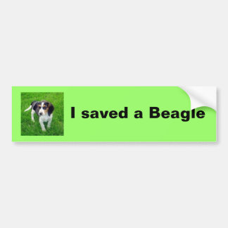 Beagle Bumpersticker