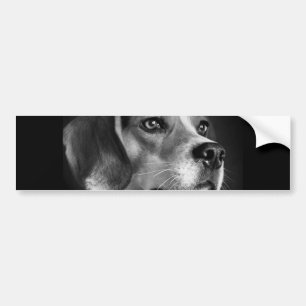 Beagle Bumpersticker