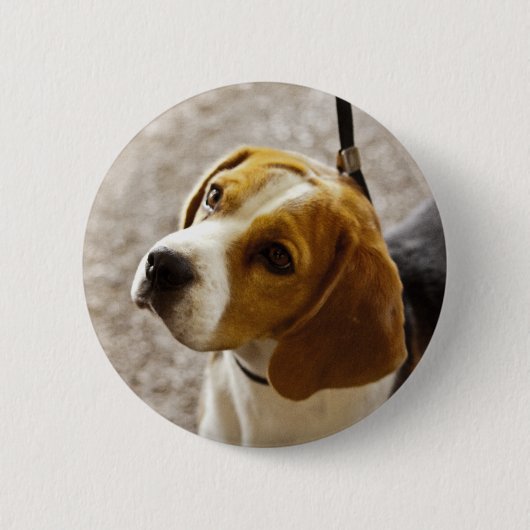 Beagle Button (Voorkant)