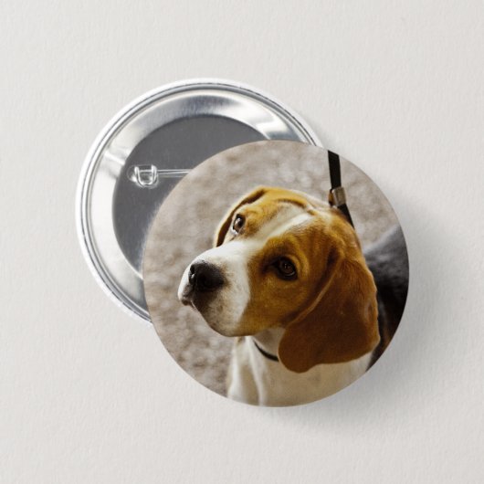 Beagle Button (Voorkant /achterkant)