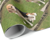 Beagle Cadeaupapier (Rol Hoek)