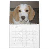 Beagle Calender Kalender (Feb 2027)