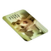Beagle "Can't Say No to this Face" 3x4 Magnet (Côté Droit)