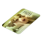 Beagle "Can't Say No to this Face" 3x4 Magnet (Côté Gauche)