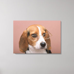 Beagle Canvas Afdruk