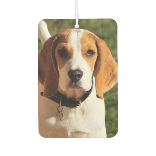 Beagle Car Air Freshener Luchtverfrisser (Voorkant)