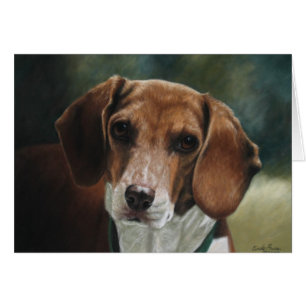 Beagle - carte