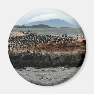 Beagle Channel Magneet