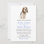 Beagle Chien Chien Bleu Faire-part de mariage (Devant)