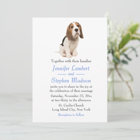Beagle Chien Chien Bleu Faire-part de mariage (Debout devant)