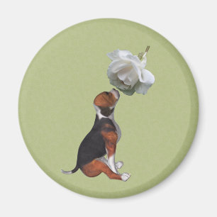Beagle Chiot blanc Rose aimant animal
