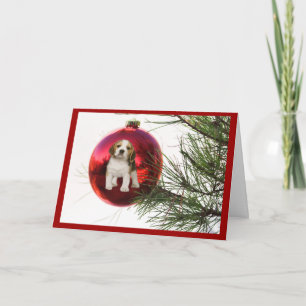 Beagle Christmas Kaart Ball