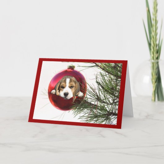Beagle Christmas Kaart Ball (Voorkant)