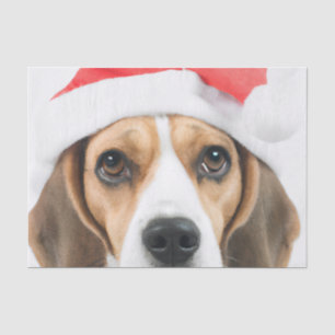 Beagle Christmas Tissuepapier