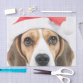 Beagle Christmas Tissuepapier (Craft)