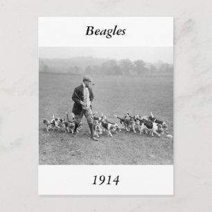 Beagle Club, 1914 Briefkaart