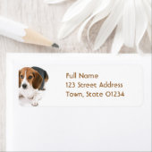 Beagle Dog Adresse de retour Étiquette de courrier (En situation)