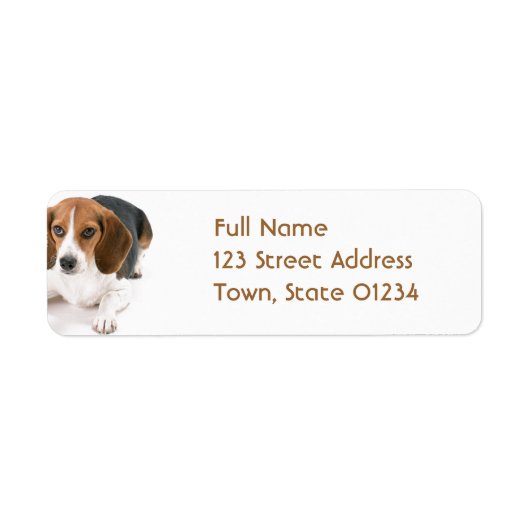 Beagle Dog Adresse de retour Étiquette de courrier (Devant)