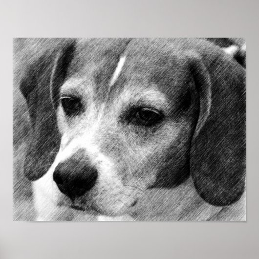Beagle Dog Face Pencil Art Poster (Voorkant)