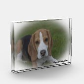 Beagle Dog. Fotoblokken (Links)