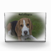 Beagle Dog Fotoblokken (Voorkant)