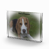 Beagle Dog Fotoblokken (Rechts)