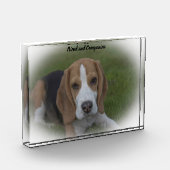 Beagle Dog Fotoblokken (Links)