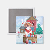 Beagle Dog in sneeuwkersthondenhuis Magneet (Voorkant / Achterkant)