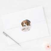Beagle Dog Stickers (Envelop)