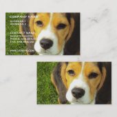 Beagle Dog Visitekaartje (Voorkant / Achterkant)