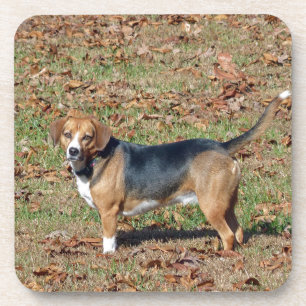 Beagle Drankjes Onderzetter