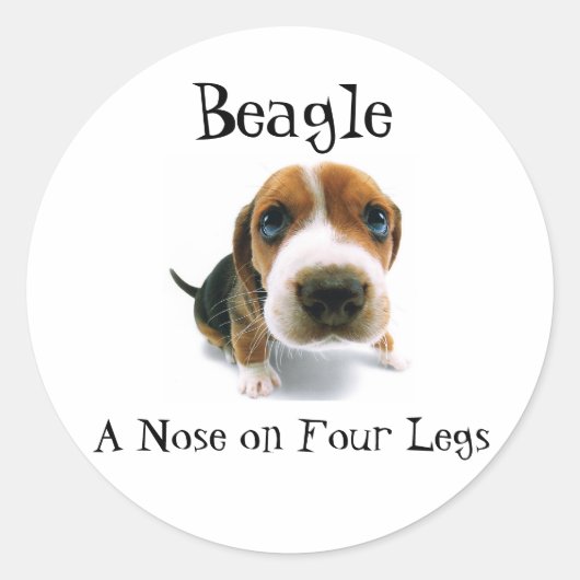 Beagle - Een neus op vier poten Ronde Sticker (Voorkant)