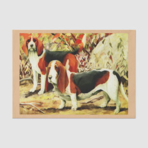beagle en activa tissuepapier